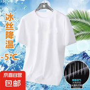 夏季冰絲短袖T恤男透氣速干衣冰感大碼運動(dòng)沙灘速干上衣PYBY網(wǎng)眼T 白色 5XL