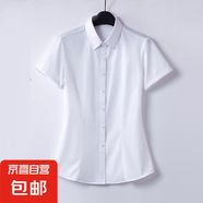 輕奢高級(jí)感氣質(zhì)商務(wù)職業(yè)工作服襯衣2025夏新款V領(lǐng)短袖洋氣襯衫女 B611白色【明扣】短袖 4XL 推薦【140-150斤】
