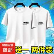 男士工地上班工作耐磨耐臟短袖T恤衣服便宜冰絲速干半袖打底衫-SL 短袖AMN-白色+白色 2XL 碼【120-145斤】