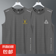 2025新款冰絲背心t恤男士夏季寬松運(yùn)動(dòng)健身速干無(wú)袖坎肩薄體恤 鹿角灰+三角灰【二桿蝴網(wǎng)背心】 5XL 建議180-200斤