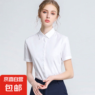藍色立領(lǐng)職業(yè)襯衫女2025春夏新款高級通勤白領(lǐng)正裝氣質(zhì)修身襯衣潮 B613白色【暗扣】短袖 XL 推薦【115-125斤】