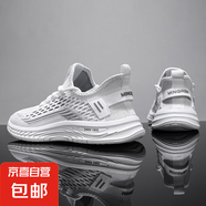 【雙星京東快遞】2025潮流四季通用男鞋新款休閑鞋透氣軟底網(wǎng)面鞋 白色 42