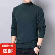 秋冬季男士中領(lǐng)長(cháng)袖t恤上衣純色半高領(lǐng)中青年修身雙面德絨打底衫 名卡歐高領(lǐng)德絨綠色 XL
