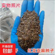 林木種子藥材種子花草種子四季播種開(kāi)花易活花卉苗庭院室外花種籽 紅花亞麻種子 500克（更實(shí)惠）