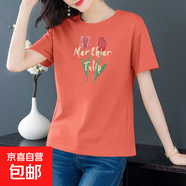純棉短袖t恤女裝夏季寬松顯瘦圓領(lǐng)半袖打底體恤衫學(xué)生百搭上衣604 磚紅郁金香 L 【建議100-115斤】