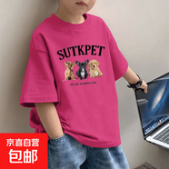 2025男童純棉短袖T恤夏季中大童新款時(shí)尚帥氣卡通印花打底體恤衫 玫紅色-SUTKP三小狗 120