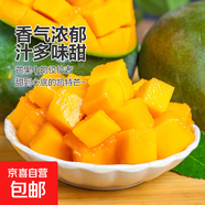 京喜加凱特芒果當季新鮮生鮮水果甜心熱帶現摘現發(fā) 帶箱5斤 單果300g+