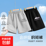 【2件裝】男童短褲夏季2025新款童裝帥氣男大童褲子兒童運(yùn)動(dòng)褲男 高山K灰+幾何山脈K黑 150