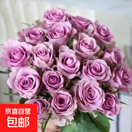月季特大花濃香果汁陽(yáng)臺庭院花卉植物盆栽薔薇四季玫瑰花苗帶花苞 紫霞仙子原土發(fā)貨中苗40cm左右