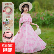 童裝女童2025夏季公主裙兒童碎花裙子小女孩雪紡連衣裙百褶裙夏裝 086仙粉碎花裙+發(fā)箍+鎖骨鏈+帽子 140