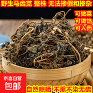 新鮮馬齒莧野菜干貨包子餡涼拌馬齒筧干長壽菜降血壓蔬菜生鮮 【曬干】100g（傳統(tǒng)自然晾曬） 山野里的純野生馬齒莧 很稀缺了