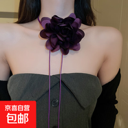 法式輕奢蝴蝶鑲鉆珍珠項鏈小眾氣質(zhì)鎖骨鏈百搭小清新高級感飾品女 32#項鏈-紫色