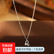 跨境新品S925銀十二星座項鏈女立體符文輕奢鑲鉆設計感鎖骨鏈頸鏈 【白金色-獅子座】 無(wú)規格