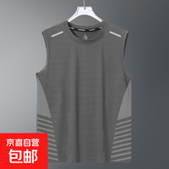 夏季背心男速干無(wú)袖T恤冰絲涼感運動(dòng)上衣寬松跑步短袖訓練健身服 純灰【斜紋蝴網(wǎng)背心】 L 建議100-115斤