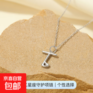 26個(gè)英文字母吊墜項(xiàng)鏈S925純銀歐美跨境熱銷愛心鎖骨鏈簡(jiǎn)約頸鏈女 【白金色】字母T 925銀