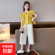 女童夏裝套裝2025新款兒童運動夏款洋氣女大童短袖夏季休閑兩件套 黃色 【偉鑫156】 160 【建議80-100斤】