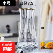特大號輕奢創(chuàng)意簡約玻璃花瓶透明水養(yǎng)鮮花北歐ins風客廳插花擺件 【20高描金】透明太陽花