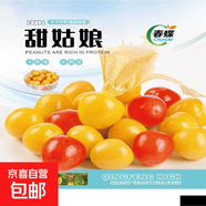 春蝶蔬菜種子四季播盆栽陽(yáng)臺庭院黃瓜豆角番茄甜瓜易種籽孑大全 甜姑娘 【原裝1包 約500?！?一包(試種貴在快遞費)