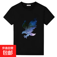 2025夏季新款t恤男短袖百搭時(shí)尚潮流寬松圓領(lǐng)半袖學(xué)生打底半截袖 短袖t大藍鷹黑色 M