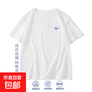 男士冰絲網(wǎng)眼t恤男夏季2025款男生速干衣服涼感運動(dòng)短袖SJ 網(wǎng)眼t小魚(yú)白色 L