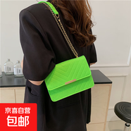高級質(zhì)感鏈條包包女2025新款潮時(shí)尚百搭單肩斜挎包復古洋氣小方包 淺綠