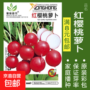 8424麒麟無籽美都西瓜種籽大全種子水果瓜果苗小南方蔬菜苗秧種孑 紅櫻桃蘿卜約200粒