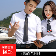 淺藍色職業(yè)襯衫女夏季薄款氣質(zhì)短袖襯衣套裝酒店銀行經(jīng)理工作服男 單件襯衫 白色（Z1308男款） 5XL