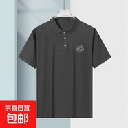 正品翻領(lǐng)Polo衫夏季新款男士高檔冰絲透氣彈力短袖百搭休閑T恤 山脈灰【蝴網(wǎng)POLO衫】 2XL 建議130-145斤