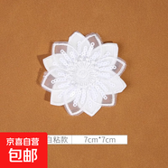白色蕾絲補丁貼免縫自粘修補蚊帳裙子紗裙破洞歐根紗刺繡花朵布貼 13#（1個(gè)裝）自粘免縫