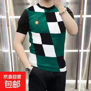 短袖t恤男夏季冰絲印花圓領(lǐng)格子半袖潮流體恤百搭潮流ins修身上衣 （潮社坊067）綠色 L