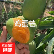 芒果苗樹(shù)四季貴妃芒凱特嫁接樹(shù)苗果樹(shù)果苗南方陽(yáng)臺(tái)盆栽地栽好養(yǎng)活 雞蛋芒別名椰香芒 高度 1.5米-1.8米