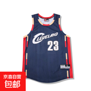美式復(fù)古大網(wǎng)眼球衣男女麥迪哈達(dá)威皮蓬羅德曼籃球潮流背心 LNF 2341#國王23號詹姆斯寶藍(lán)色 XL (140-160斤）