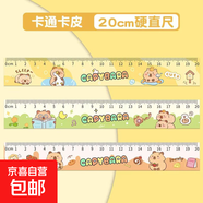 學(xué)生通用套尺簡(jiǎn)單直尺量角器三角尺測繪套裝 20cm卡皮巴拉IP印花單尺直尺
