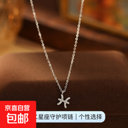 跨境新品S925銀十二星座項鏈女立體符文輕奢鑲鉆設計感鎖骨鏈頸鏈 【白金色-雙魚(yú)座】 無(wú)規格