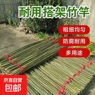 竹竿菜園搭架豆角黃瓜番茄爬藤架園藝籬笆圍欄旗桿葡萄架批發(fā) 20根【精選竹竿】 1.4-1.6厘米粗2米長(zhǎng)