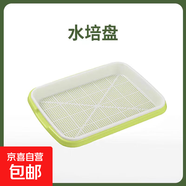 小寵用品貓草種子小麥水培土培化毛懶人貓麥草籽營(yíng)養食用薄荷植物 水培種植盆