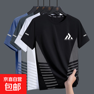 夏季冰絲t恤男圓領(lǐng)速干衣短袖薄款透氣半袖大碼上衣運(yùn)動(dòng)寬松潮-SL 金字塔黑色【T恤】 L  建議100-115斤