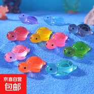 【全紅嬋同款】奧運冠軍夜光彩色小烏龜微景觀(guān)創(chuàng  )意卡通擺件對對碰 隨機一個(gè)