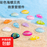 魚缸造景微景觀創(chuàng)意仿真彩色海螺貝殼 海洋沙灘diy裝飾擺件玩具 彩色海螺貝殼1個