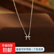 925純銀十二星座項鏈女ins簡約光面符號吊墜鎖骨鏈高級感爆款配飾 【白金色-雙魚座】 無規(guī)格