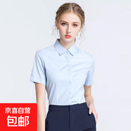 藍色立領職業(yè)襯衫女2025春夏新款高級通勤白領正裝氣質(zhì)修身襯衣潮 B613藍色【暗扣】短袖 XL 推薦【115-125斤】