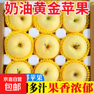 山東煙臺(tái)黃金奶油富士蘋果脆甜冰糖心很像維納斯蘋果 帶箱4斤75果