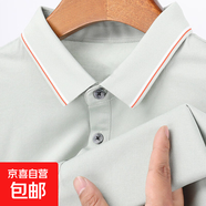 桑蠶絲短袖上衣男士翻領(lǐng)純色百搭夏裝新款Polo衫中青年衣服薄 淺綠 XL 180/96A