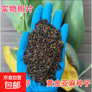 林木種子藥材種子花草種子四季播種開花易活花卉苗庭院室外花種籽 黃金亞麻種子 250克