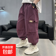 男童工裝褲春秋季休閑長褲2025新款中大兒童冬裝洋氣男孩寬松褲子 SP-T150【紫色】春秋款 130cm