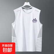 夏季背心男速干無(wú)袖T恤冰絲涼感運動(dòng)上衣寬松跑步短袖訓練健身服 山脈白【斜紋蝴網(wǎng)背心】 5XL 建議180-200斤