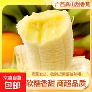 高山精品甜蕉現(xiàn)摘新鮮水果香蕉孕婦寶寶輔食搭配丫丫生鮮特產(chǎn) 2斤帶箱裝【青蕉發(fā)貨】