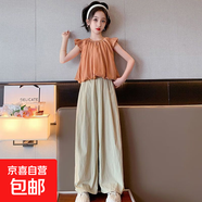 【女童飛袖套裝】童裝女童大童小運(yùn)動(dòng)休閑夏季套裝新款女孩雪紡衫 WX-套裝158【杏色】春秋款 150