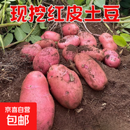 【真便宜】紅皮土豆高原黃心土豆馬鈴薯紅皮黃心洋芋 蔬菜水果 紅皮土豆 4斤 單果1-3兩