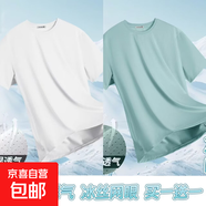 夏季冰絲短袖T恤男透氣速干衣冰感大碼運動(dòng)沙灘速干上衣GG網(wǎng)眼T 綠色+白色 2XL